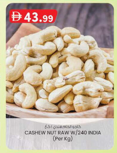 available at Safa Express Supermarket in UAE - Abu Dhabi