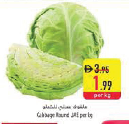Cabbage available at السفير ماركت in الإمارات العربية المتحدة , الامارات - رَأْس ٱلْخَيْمَة