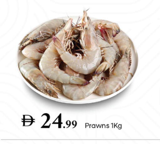 available at سوق طلال in الإمارات العربية المتحدة , الامارات - دبي