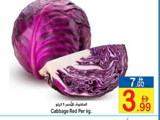 Cabbage available at سن اند ساند هايبر ماركت ذ.م.م in الإمارات العربية المتحدة , الامارات - رَأْس ٱلْخَيْمَة