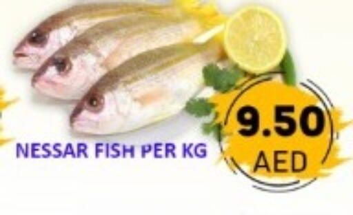 available at GREEN GIFT DEPARTMENT STORE in UAE - Abu Dhabi