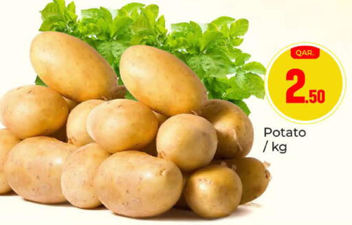 Potato available at باريس هايبرماركت in قطر - أم صلال