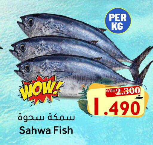 available at القوت هايبرماركت in عُمان - مسقط‎