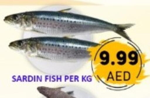 available at GREEN GIFT DEPARTMENT STORE in UAE - Abu Dhabi