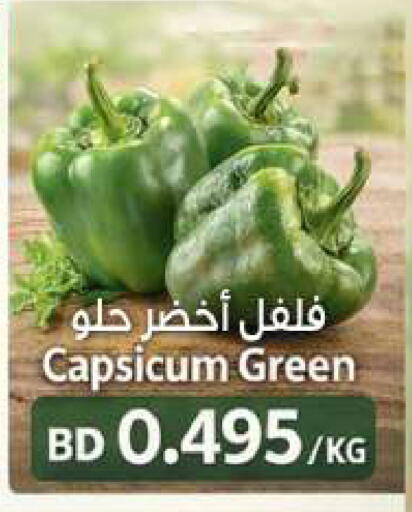 Capsicum available at مجموعة حسن محمود in البحرين