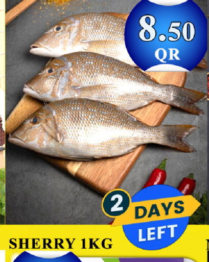 available at باشن هايبر ماركت in قطر - أم صلال