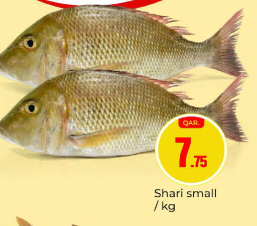 available at Paris Hypermarket in Qatar - Al Wakra