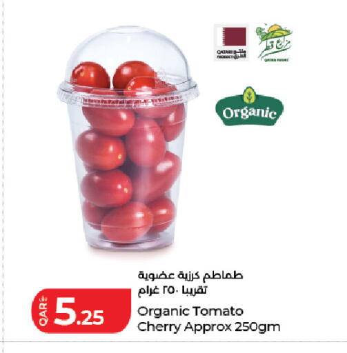 Cherry Tomato from Qatar available at لولو هايبرماركت in قطر - الدوحة