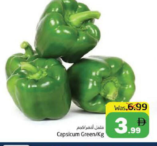 Capsicum available at Pasons Hypermarket in UAE - Fujairah