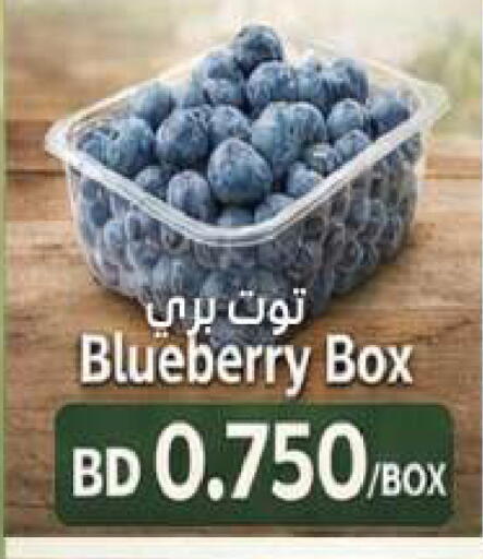 Blueberry BlueBerry available at مجموعة حسن محمود in البحرين