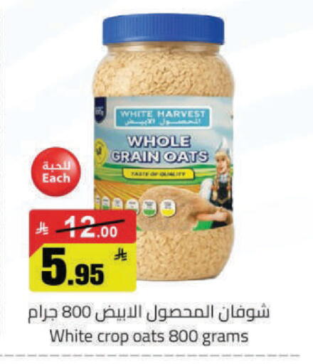 available at Hypermarket Stor in KSA, Saudi Arabia, Saudi - Tabuk