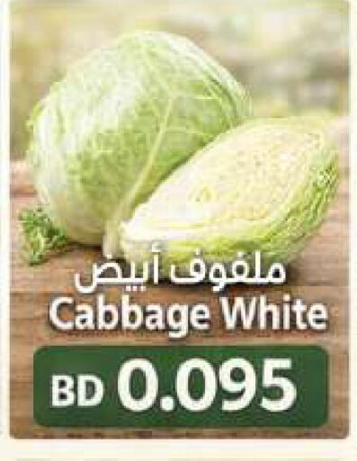Cabbage available at مجموعة حسن محمود in البحرين