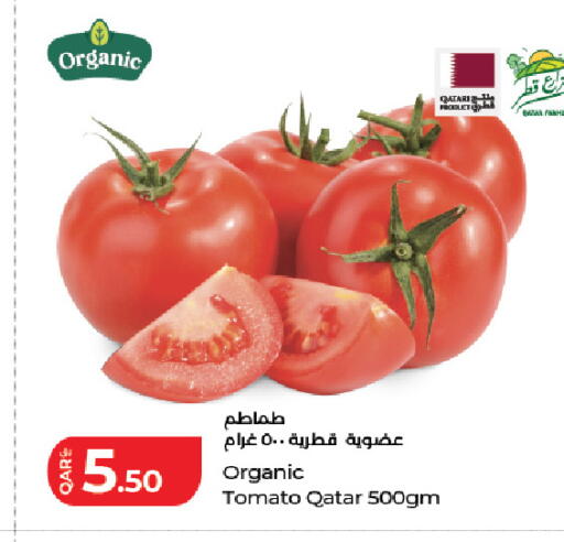 Tomato from Qatar available at لولو هايبرماركت in قطر - الدوحة