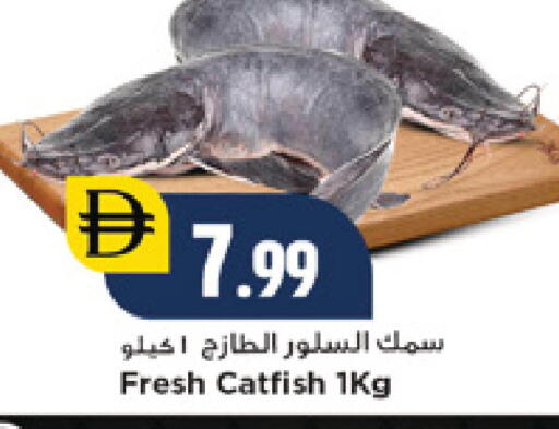 available at نيومارت هايبرماركت in الإمارات العربية المتحدة , الامارات - دبي