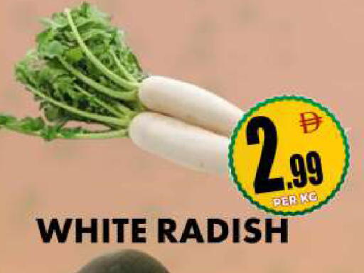 Radish available at مركز الخصومات سنترو in الإمارات العربية المتحدة , الامارات - دبي