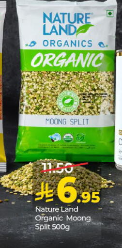 available at لولو هايبرماركت in مملكة العربية السعودية, السعودية, سعودية - عنيزة