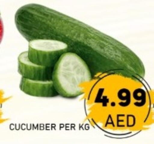Cucumber available at GREEN GIFT DEPARTMENT STORE in UAE - Abu Dhabi