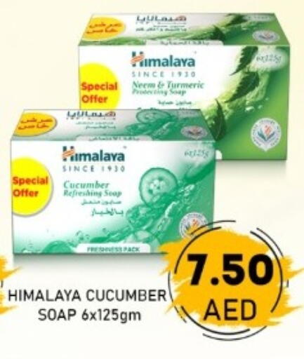 Cucumber available at GREEN GIFT DEPARTMENT STORE in UAE - Abu Dhabi