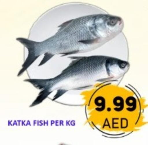 available at GREEN GIFT DEPARTMENT STORE in UAE - Abu Dhabi