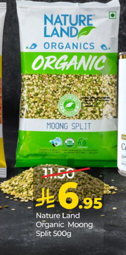 available at لولو هايبرماركت in مملكة العربية السعودية, السعودية, سعودية - المنطقة الشرقية