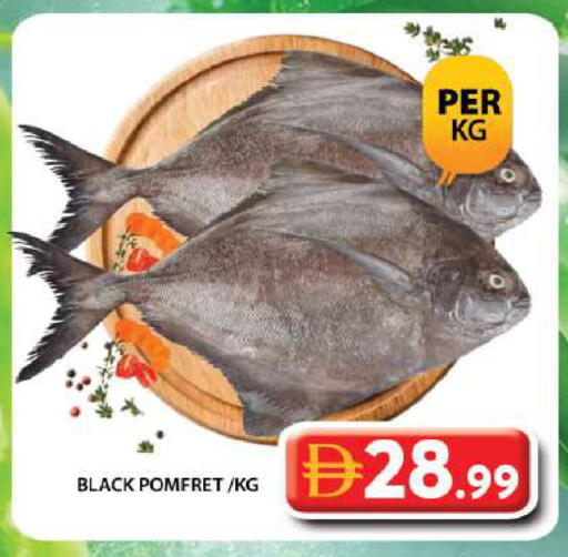 available at جراند هايبر ماركت in الإمارات العربية المتحدة , الامارات - دبي