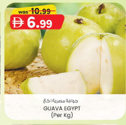 Guava from Egypt available at ك. الم. للتجارة in الإمارات العربية المتحدة , الامارات - دبي