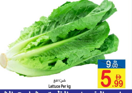 Lettuce available at سن اند ساند هايبر ماركت ذ.م.م in الإمارات العربية المتحدة , الامارات - رَأْس ٱلْخَيْمَة