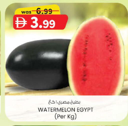 Watermelon from Egypt available at ك. الم. للتجارة in الإمارات العربية المتحدة , الامارات - دبي