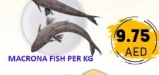 available at GREEN GIFT DEPARTMENT STORE in UAE - Abu Dhabi