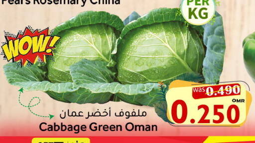 Rosemary Cabbage from China Oman available at Al Qoot Hypermarket in Oman - Muscat