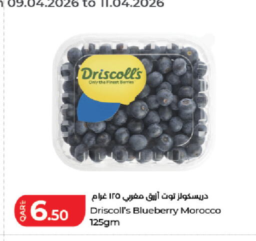 Blueberry BlueBerry from Morocco available at لولو هايبرماركت in قطر - الريان