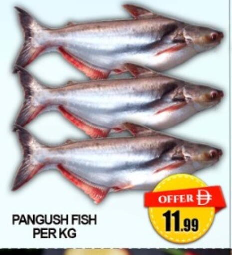 available at Green Gift Department Store in UAE - Dubai