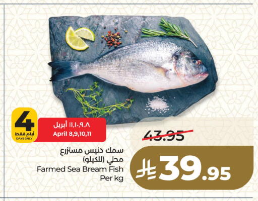 available at لولو هايبرماركت in مملكة العربية السعودية, السعودية, سعودية - المنطقة الشرقية