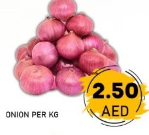 Onion available at GREEN GIFT DEPARTMENT STORE in UAE - Abu Dhabi