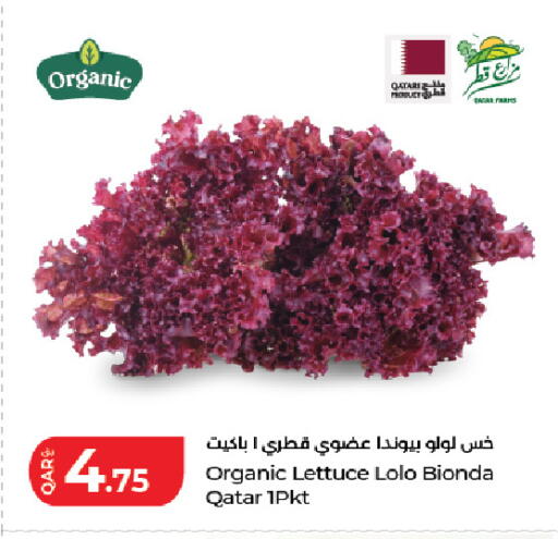 Lettuce from Qatar available at لولو هايبرماركت in قطر - أم صلال