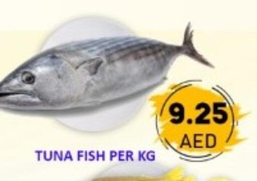 available at GREEN GIFT DEPARTMENT STORE in UAE - Abu Dhabi