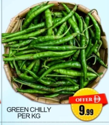 available at Green Gift Department Store in UAE - Dubai