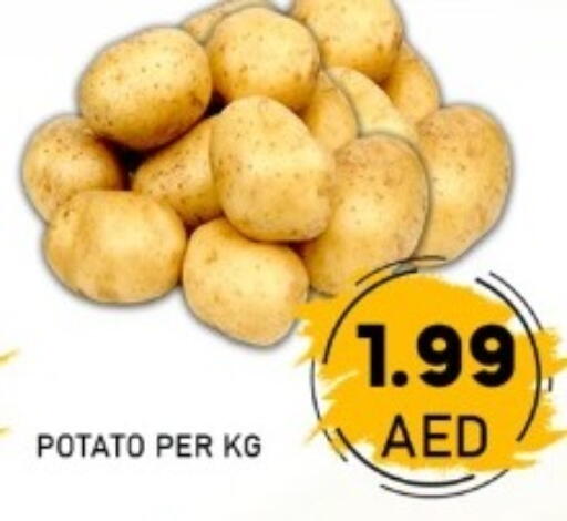 Potato available at GREEN GIFT DEPARTMENT STORE in UAE - Abu Dhabi