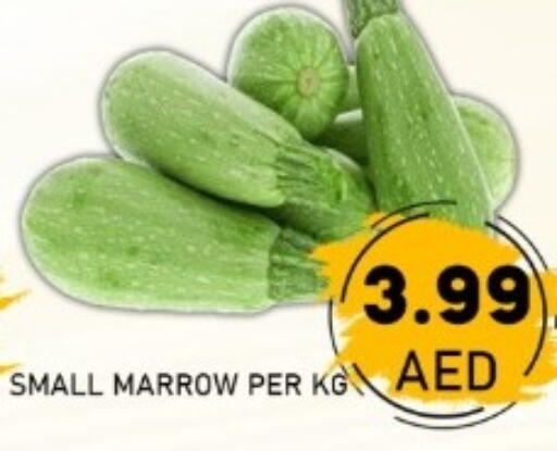 Marrow available at GREEN GIFT DEPARTMENT STORE in UAE - Abu Dhabi