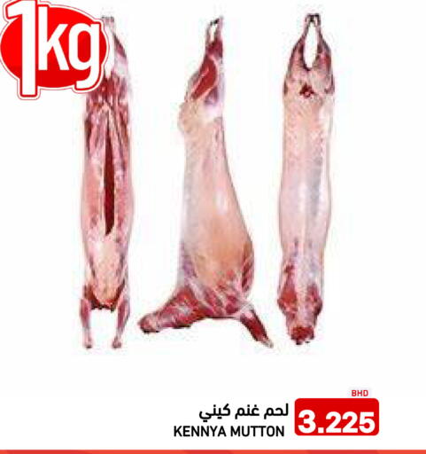 available at رامــز in البحرين