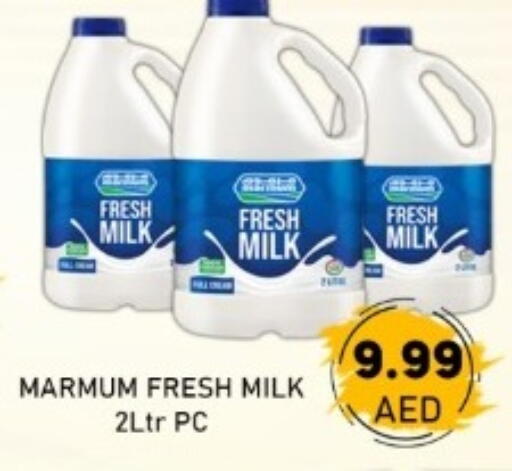 available at GREEN GIFT DEPARTMENT STORE in UAE - Abu Dhabi