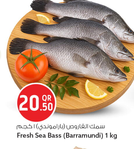 available at سفاري هايبر ماركت in قطر - أم صلال