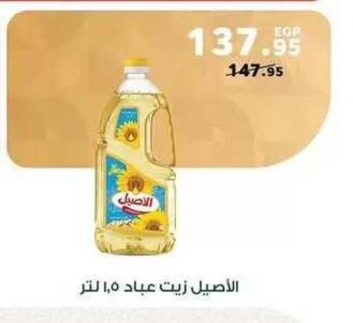 available at بنده in Egypt - القاهرة