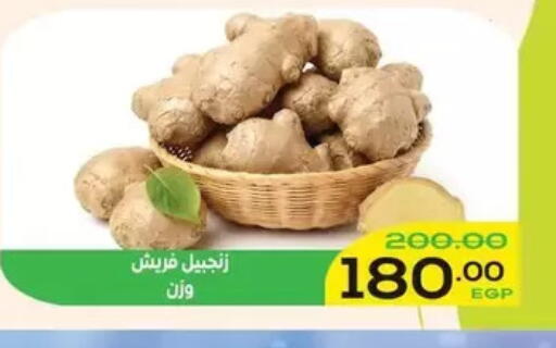 available at اسواق الضحى in Egypt - القاهرة