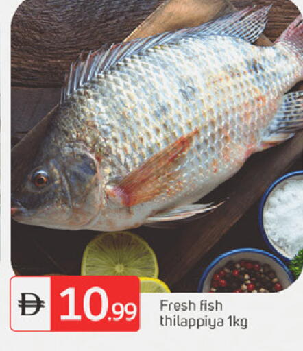 available at سوق طلال in الإمارات العربية المتحدة , الامارات - دبي