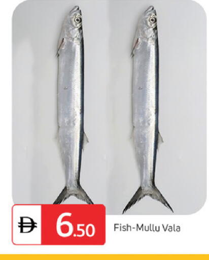 available at سوق طلال in الإمارات العربية المتحدة , الامارات - دبي