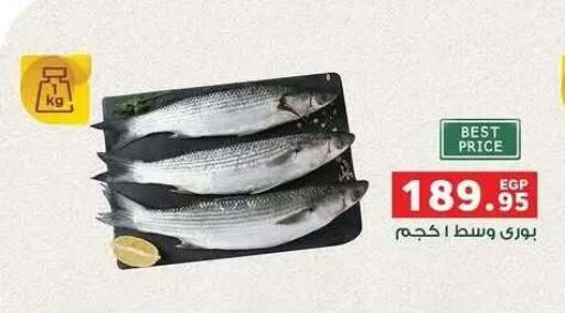 available at بنده in Egypt - القاهرة