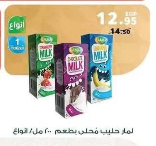 available at بنده in Egypt - القاهرة