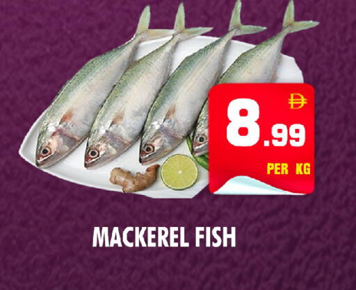 available at NIGHT TO NIGHT DEPARTMENT STORE in UAE - Dubai