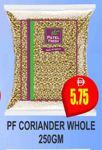 Coriander available at مجمع باتيل فريش in الإمارات العربية المتحدة , الامارات - دبي